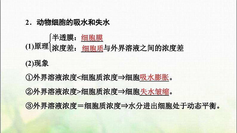 2024届人教版高考生物一轮复习细胞的物质输入和输出课件第6页