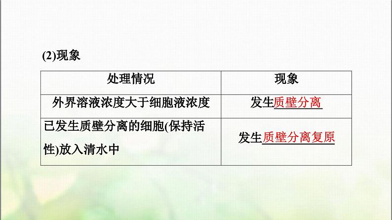 2024届人教版高考生物一轮复习细胞的物质输入和输出课件第8页