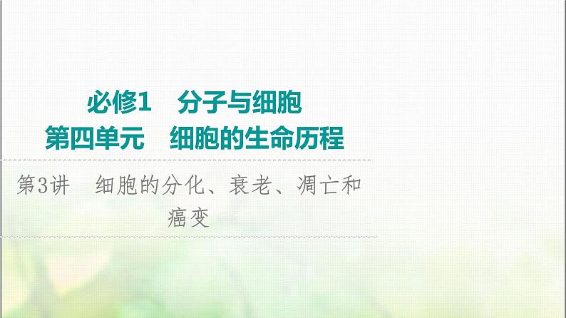 2024届人教版高考生物一轮复习细胞的分化、衰老、凋亡和癌变课件01