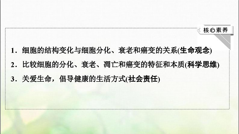 2024届人教版高考生物一轮复习细胞的分化、衰老、凋亡和癌变课件03