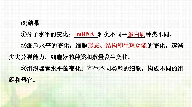 2024届人教版高考生物一轮复习细胞的分化、衰老、凋亡和癌变课件08