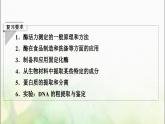 2024届人教版高考生物一轮复习生物技术在其他方面的应用课件