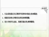 2024届人教版高考生物一轮复习生态系统的信息传递和稳定性课件