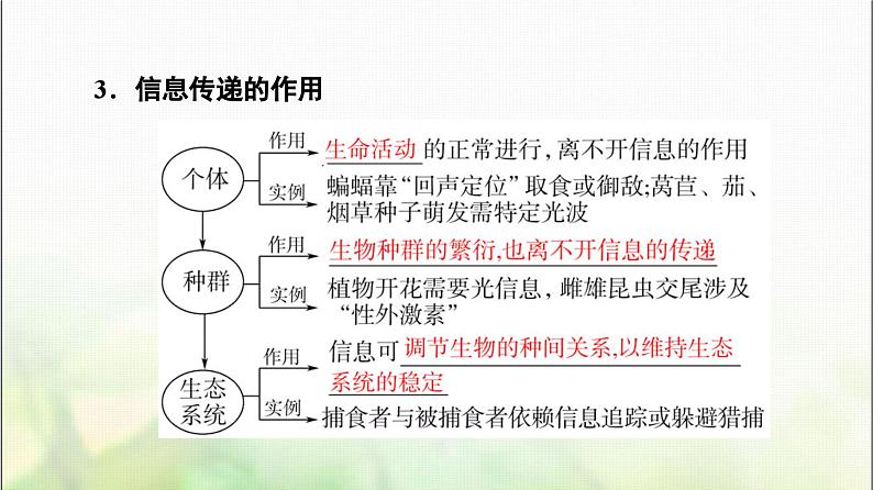 2024届人教版高考生物一轮复习生态系统的信息传递和稳定性课件07