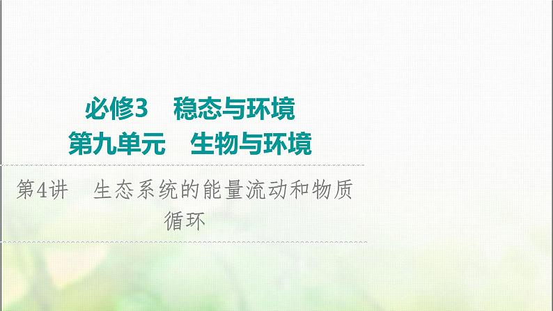 2024届人教版高考生物一轮复习生态系统的能量流动和物质循环课件01