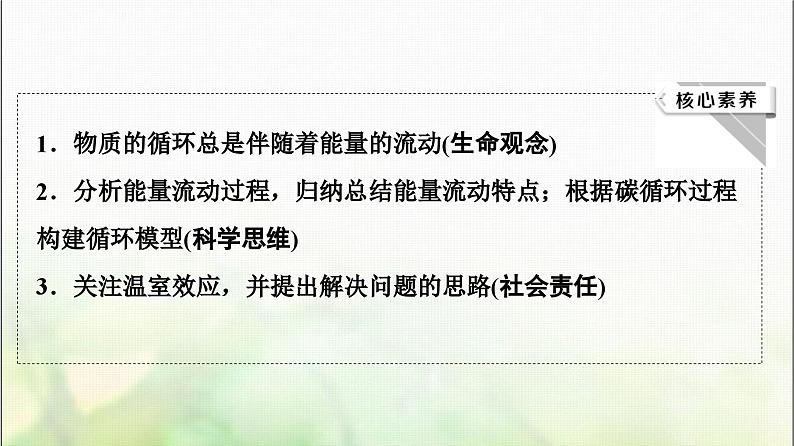 2024届人教版高考生物一轮复习生态系统的能量流动和物质循环课件03