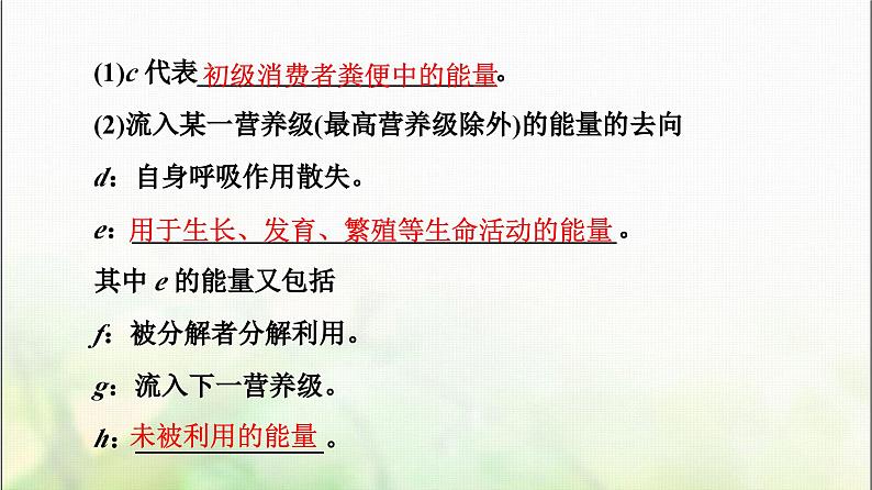 2024届人教版高考生物一轮复习生态系统的能量流动和物质循环课件08