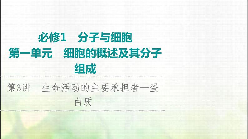 2024届人教版高考生物一轮复习生命活动的主要承担者—蛋白质课件第1页