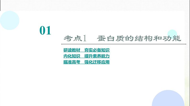 2024届人教版高考生物一轮复习生命活动的主要承担者—蛋白质课件第4页