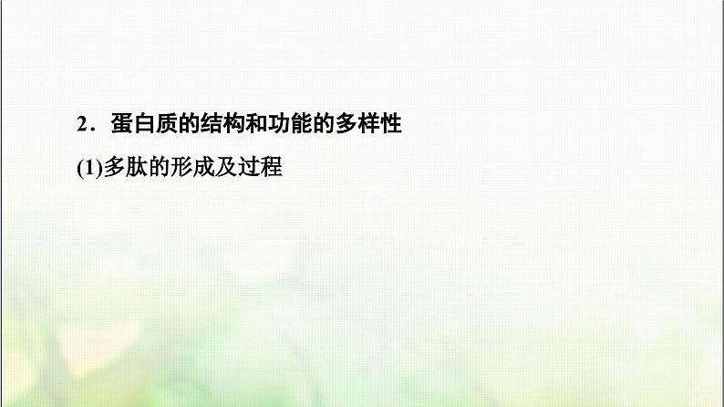 2024届人教版高考生物一轮复习生命活动的主要承担者—蛋白质课件第6页