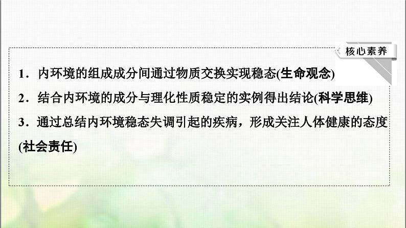 2024届人教版高考生物一轮复习人体的内环境与稳态课件第3页