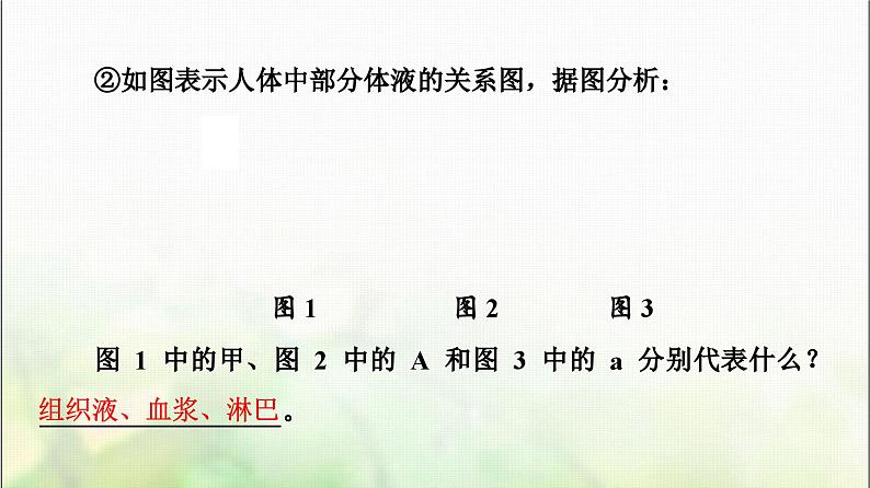 2024届人教版高考生物一轮复习人体的内环境与稳态课件第8页