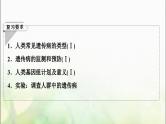 2024届人教版高考生物一轮复习人类遗传病课件