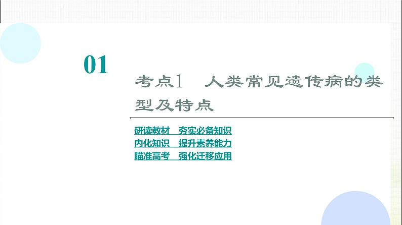 2024届人教版高考生物一轮复习人类遗传病课件第4页