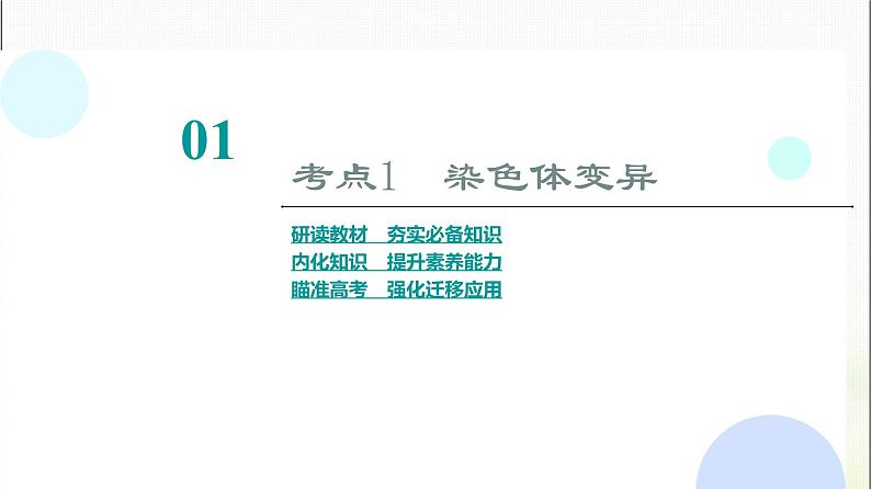 2024届人教版高考生物一轮复习染色体变异和生物育种课件第5页