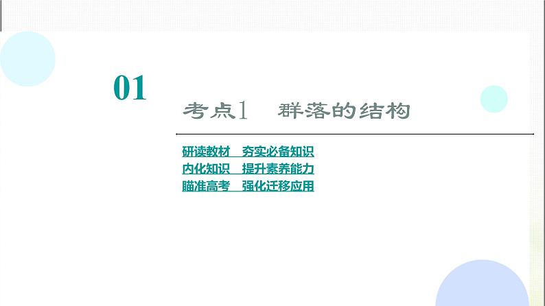 2024届人教版高考生物一轮复习群落的结构和演替课件第4页