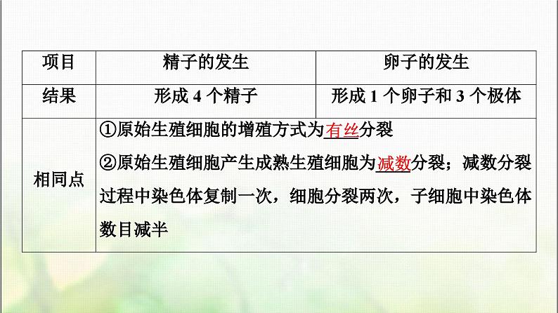 2024届人教版高考生物一轮复习胚胎工程及生物技术的安全性和伦理问题课件07