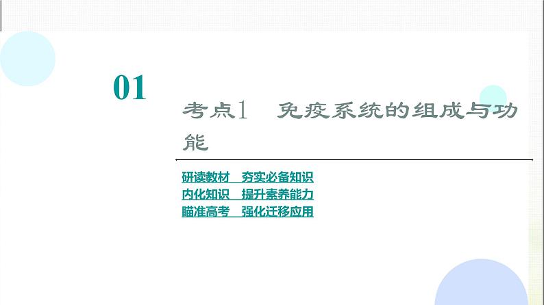 2024届人教版高考生物一轮复习免疫调节课件05