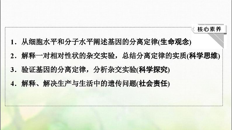 2024届人教版高考生物一轮复习孟德尔的豌豆杂交实验(一)课件03