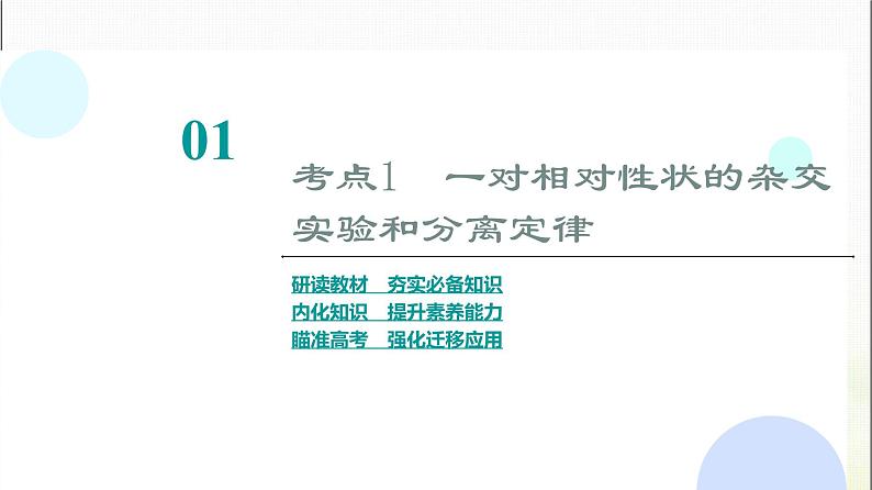 2024届人教版高考生物一轮复习孟德尔的豌豆杂交实验(一)课件04