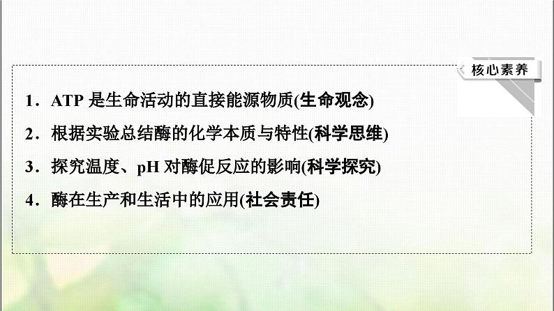 2024届人教版高考生物一轮复习酶和ATP课件第3页