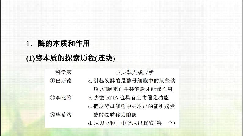 2024届人教版高考生物一轮复习酶和ATP课件第5页