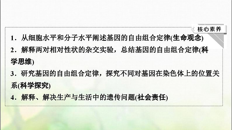 2024届人教版高考生物一轮复习孟德尔的豌豆杂交实验(二)课件第3页