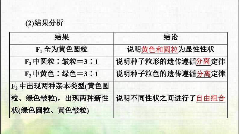 2024届人教版高考生物一轮复习孟德尔的豌豆杂交实验(二)课件第6页