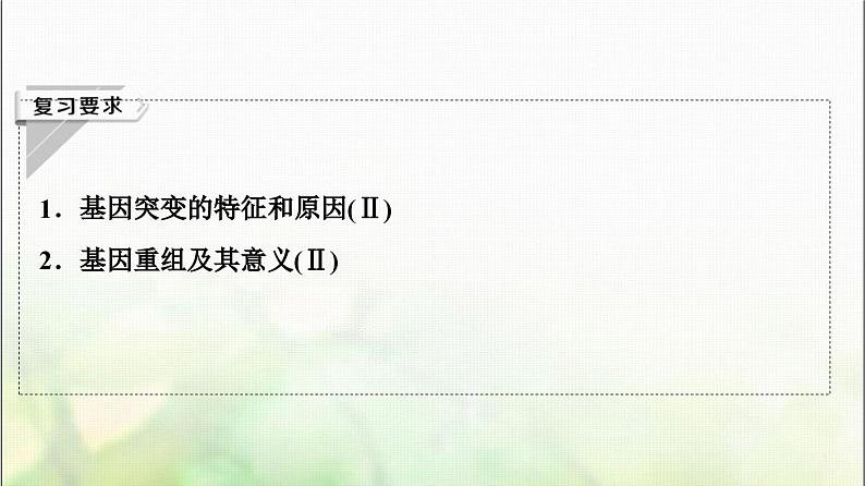 2024届人教版高考生物一轮复习基因突变和基因重组课件第2页