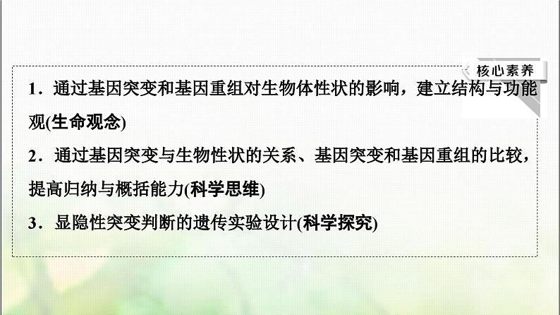 2024届人教版高考生物一轮复习基因突变和基因重组课件第3页