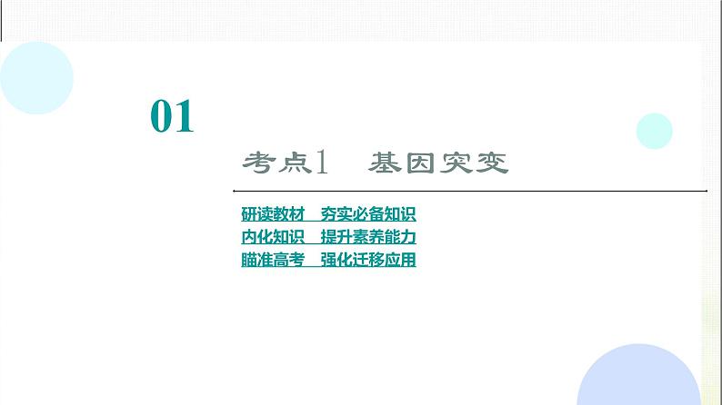 2024届人教版高考生物一轮复习基因突变和基因重组课件第4页