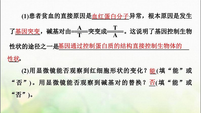 2024届人教版高考生物一轮复习基因突变和基因重组课件第6页