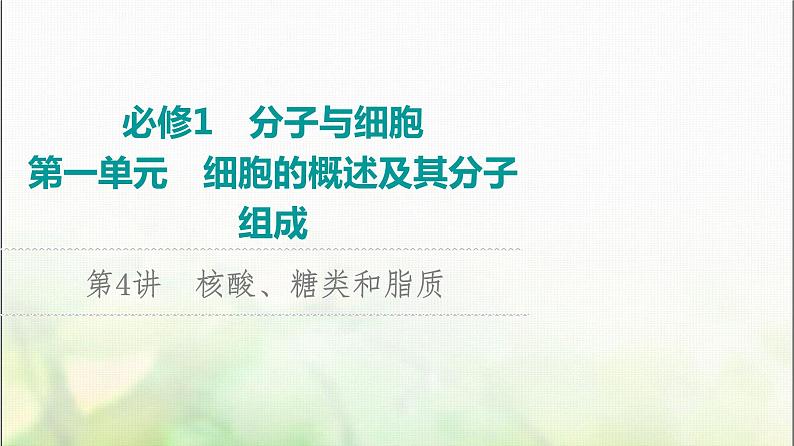 2024届人教版高考生物一轮复习核酸、糖类和脂质课件第1页