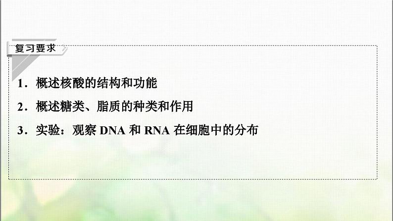 2024届人教版高考生物一轮复习核酸、糖类和脂质课件第2页