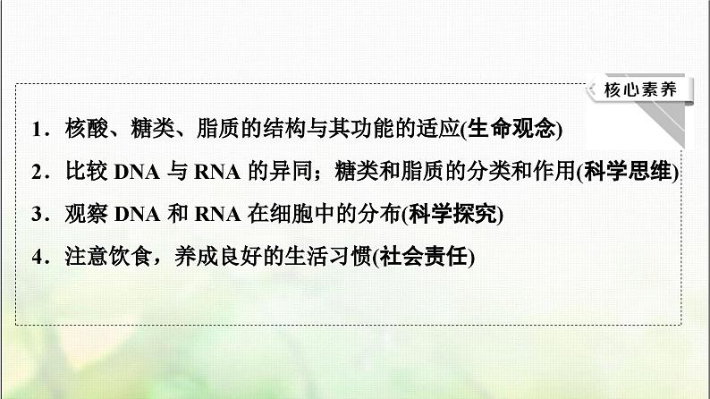 2024届人教版高考生物一轮复习核酸、糖类和脂质课件第3页