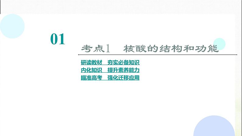 2024届人教版高考生物一轮复习核酸、糖类和脂质课件第4页