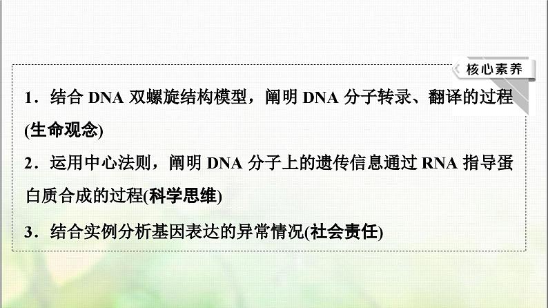 2024届人教版高考生物一轮复习基因的表达课件第3页