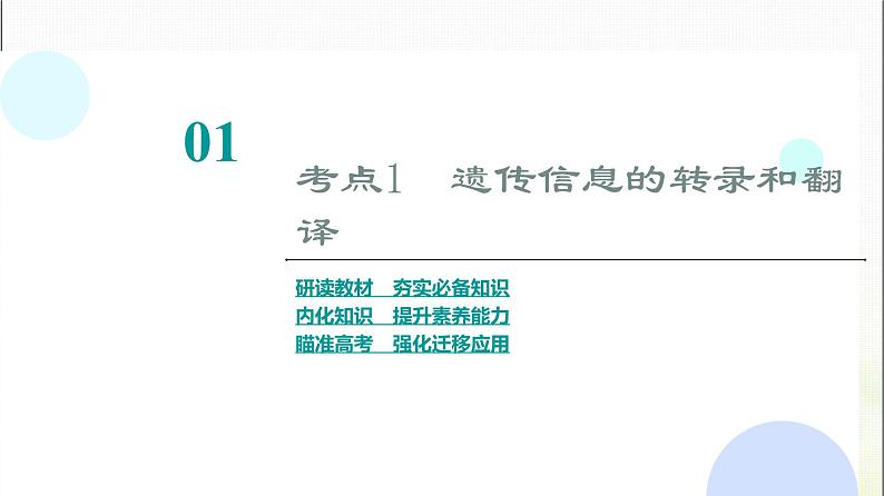 2024届人教版高考生物一轮复习基因的表达课件第4页