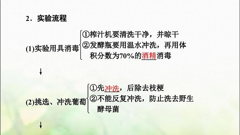 2024届人教版高考生物一轮复习传统发酵技术的应用课件第6页