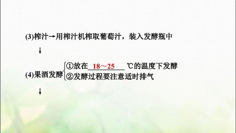 2024届人教版高考生物一轮复习传统发酵技术的应用课件第7页