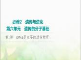 2024届人教版高考生物一轮复习DNA是主要的遗传物质课件