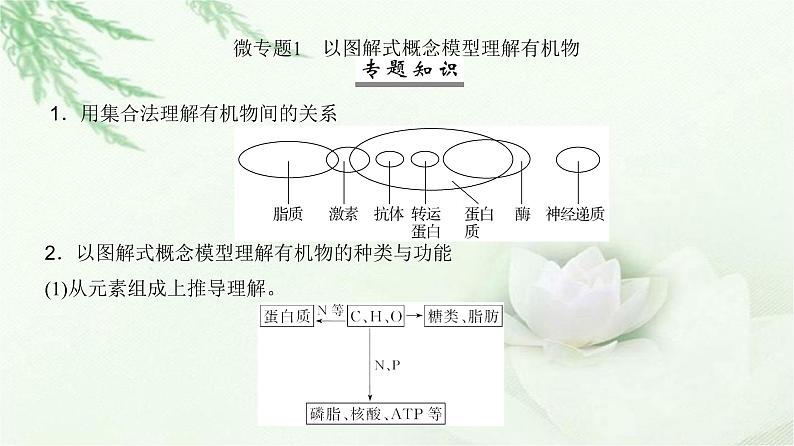 人教版2024届高考生物一轮复习微专题1以图解式概念模型理解有机物教学课件第2页