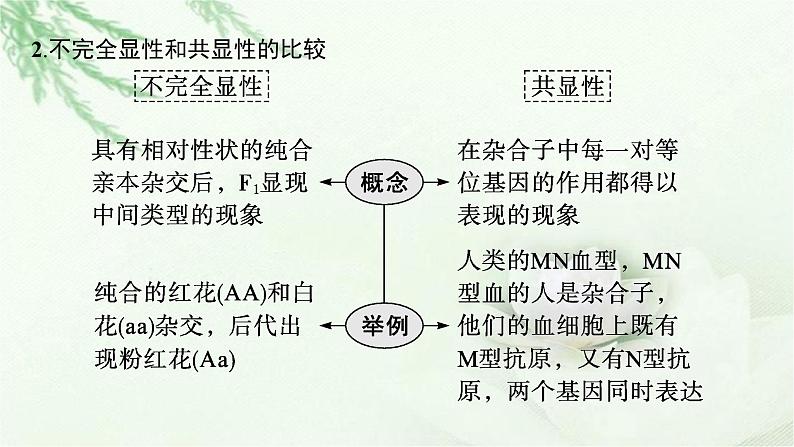 人教版2024届高考生物一轮复习微专题2分离定律的特例分析教学课件第3页