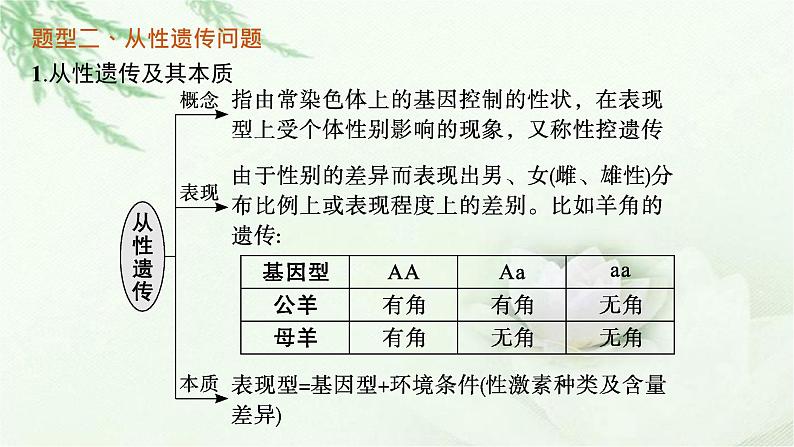 人教版2024届高考生物一轮复习微专题2分离定律的特例分析教学课件第8页