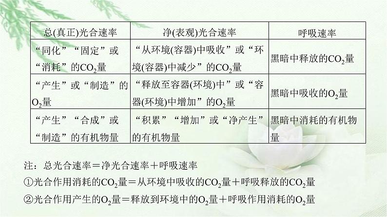 人教版2024届高考生物一轮复习微专题3光合速率和呼吸速率及测定方法教学课件03