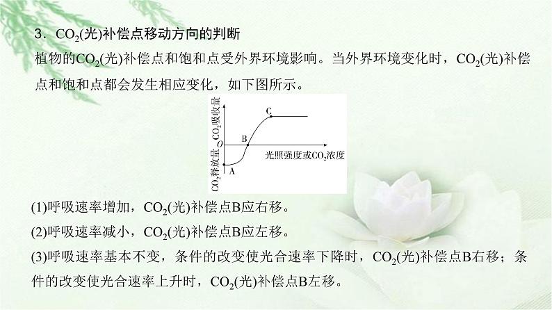 人教版2024届高考生物一轮复习微专题3光合速率和呼吸速率及测定方法教学课件05