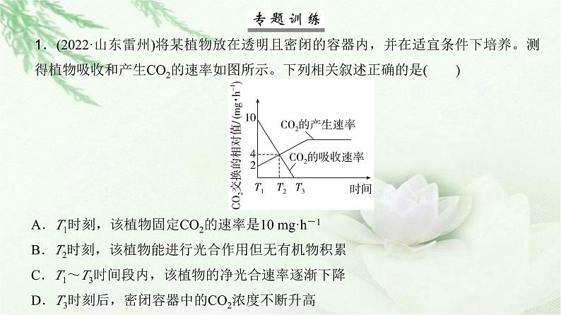 人教版2024届高考生物一轮复习微专题3光合速率和呼吸速率及测定方法教学课件06