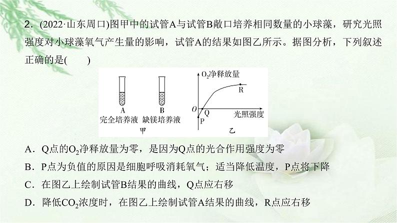 人教版2024届高考生物一轮复习微专题3光合速率和呼吸速率及测定方法教学课件08