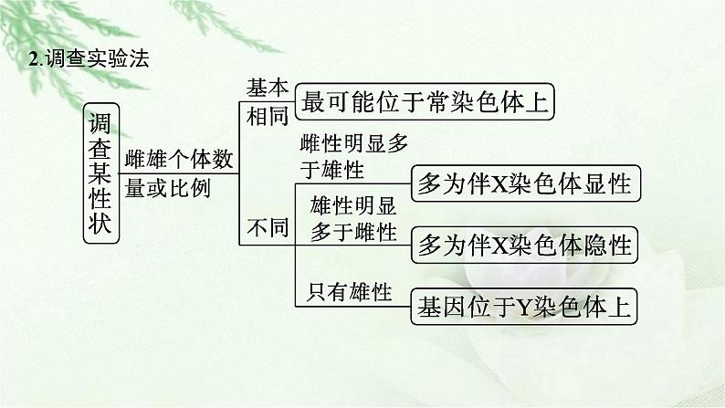 人教版2024届高考生物一轮复习微专题4基因位置的判定及遗传实验设计教学课件06