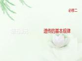 人教版2024届高考生物一轮复习微专题5分离定律遗传的特殊问题教学课件